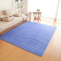 Thick Floor Mat Living Room Coffee Table Corridor Carpet Cute Tatami Balcony Mat Custom (color : Blue, Size : 80120cm)