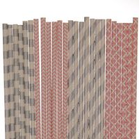 Pink and Silver Paper Straw Mix - Damask, Striped, Chevron (100)