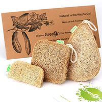 GreeOn Eco Kitchen Sponges (Natural Organic Cellulose, No Odor, Compostable), Reusable Non-Scratch Scouring Pads/Dish Cleaning Scrub Sponge, Fruit Vegetable Scrubber Aponge Brush, Set of 3 Sizes.