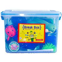 Fun and Function's Classroom Break Box Super Kit Sensory Activities for Children - Helps Kids with Sensory Processing Disorder, ADHD and Autism Self-Regulate - Includes 20 Sensory Toys