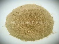 Mushroom Delight - Eclectic Blend of Shiitake, Reishi, Porcini & Chanterelle (4 oz (1/4 Lb))