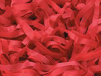 Red Tissue Paper Shred 3-1/2 lb Box (2 Boxes) - WRAPS-8XRE