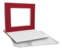 Golden State Art, Pack of 10 Mixed Colors Pre-Cut 16x20 Picture Mat for 11x14 Photo with White Core Bevel Cut Mattes Sets. Includes 10 High Premier Acid Free Matts & 10 Backing Board & 10 Clear Bags