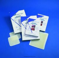 Elasto-Gel Hydrogel Occlusive Dressing, Elastogel Drs Gel 2X3 in, (1 CASE, 200 EACH)