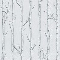 Entertaining with Caspari Birch Cocktail Napkins, White, Box of 40