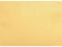 #17 Mini Flat Card (2 9/16 x 3 9/16) - Gold Metallic (250 Qty.)