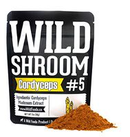 Cordyceps Mushroom Extract Powder 10:1 by Wild Foods | Cultivated Mycelium, Triple Hot Water Extract Adaptogenic Nootropic Herb for Focus, Memory and Health (2 Ounce)