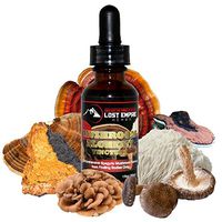 Immunity Mushroom Tincture - Reishi-Turkey Tail-Maitake-Shitake-Lion's Mane-Artist Conk-Chaga Mushroom-Spagyrically Prepared - 1floz - American Grown and Wild-Crafted - Great in Coffee