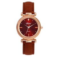 Cliramer Women Quartz Wrist Watch Leather Casual Watch Luxury Analog Quartz Lady Dress Watch (Brown)