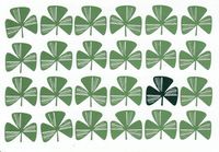 (1) St Patrick's Day Card "Wishing You a Happy St Patrick's Day"