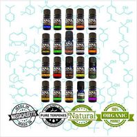 FOGG Terpenes - Complete Collection (5 ml)