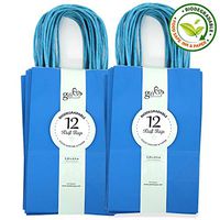 24CT SMALL TURQUOISE BIODEGRADABLE, FOOD SAFE INK & PAPER, PREMIUM QUALITY PAPER (STURDY & THICKER), KRAFT BAG WITH COLORED STURDY HANDLEs (Small, Tuquoise)
