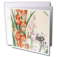 Schizanthus and Gladiolus in Pink, Red and Purple - Greeting Cards, 6 x 6 inches, set of 12 (gc_172967_2)