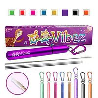 Collapsible Stainless Steel Straw (Purple)