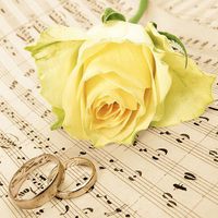 Paper Napkins, Pack of 20, "Floral design" 3-ply, 1/4-Fold, 13" x 13" Great for Parties & all kinds of events (Say Yes!)