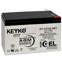 Razor MX500/MX650 Battery Pack W15128190003 12V 12Ah Battery - Fresh & Real 14.0 Amp - Gel Deep Cycle AGM/SLA Designed for Scooters - Genuine KEYKO KT-12120 HRT - F2