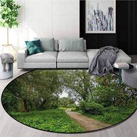 RUGSMAT Nature Modern Washable Round Bath Mat,Sunny Day in The Forest Foliage Summer Season Meadow Field Serene Landscape Non-Slip Bathroom Soft Floor Mat Home Decor,Diameter-55 Inch