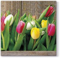 Colorful Tulips Paper Luncheon Napkins 40pcs