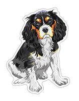JS Artworks Cavalier King Charles Spaniel Vinyl Bumper Sticker Decal Dog Family Pet Love
