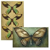 Decorative Matches, (Set of 3 Match Boxes) Long Wooden Matches,Strike Strip on Side of Box- Colored Match Tips- Candle and Fireplace Wooden Matches 4.375" x 2.35" x .75" (Butterfly)