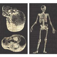 HomArt Infirmerie Skelton Large Decorative Matches Set Of 2 matchboxes