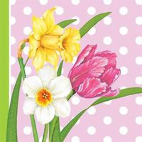 Polka Dot Garden Beverage Napkins