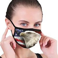 YOFFYO American Flag Bald Eagle Anti-Dust Earloop Mouth Cover for Women Men, Pollen Cycling Painting Half Face Mouth Cover - Adjustable Elastic Band