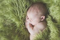 Faux Mongolian Fur Photography Prop, Newborn Prop, Basket Stuffer, Layering Blanket, Rug (Medium, 20"x36", Olive)