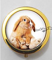 BlackKey Animal Rabbit 3-Compartment Decorative Pocket Gift Box Case Organizer for Pill, Color 2 -1816