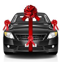 6 Pieces Large Car Bow, Include 20 Inch Car Ribbon Bow and 5 Pieces 6 Inch Pull Bow Car Decoration New Houses Wedding