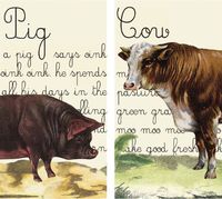 HomArt Large Decorative Pig and Cow Matches