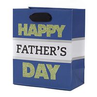 Hallmark Father's Day 6" Small Gift Bag (Green Glitter on Blue)
