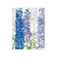 Caspari Delphiniums Gift Enclosure Cards, 20 with Envelopes