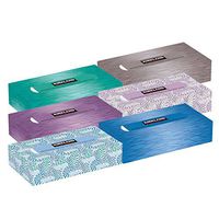 Kirkland Signature Facial Tissue, 110 2-Ply Tissues, 12 Count