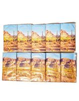 Arizona Tissue Packs Desert Birthday Party Favor Arizona Souvenir Facial Tissue, Double Sided, Pocket Sized Pack, 8 Count, 10 Packs (80 Tissues Total)