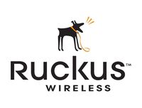 Ruckus Wireless Secure MOUNTING BRKT for R710 MOUNTS to Wall/Ceiling/Pole - 902-0120-0000