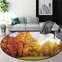 RUGSMAT Landscape Modern Machine Washable Round Bath Mat,Colorful Forest Sunbeams Coffee Table Mat Non-Skid Living Room Carpet Diameter-39