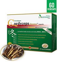 Lifestream Greenhouse Cordyceps Stroma – Singapore #1 Medicinal Mushroom Supplement Enhanced With Tea Polyphenols- Cultivated Cordyceps High In Cordycepin-Support Immunity, Energy, Stamina- No Fillers
