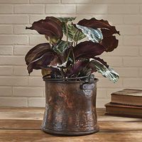 Copper Finish Bucket