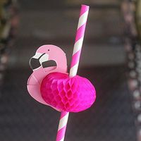 Sopeace 25pcs Flamingo Paper Drinking Straws Wedding Decoration Baby Shower Birthday Celebration Hawaii Carnival Party Supplies (Fuchsia)