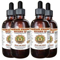 Huang Qi, Astragalus (Astragalus Membranaceus) Tincture, Dried Root Liquid Extract, Huang Qi, Herbal Supplement 4x4 Oz