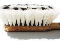 Gifts Delight Laminated 32x24 inches Poster: Goat Hair Brush Brush Bristles Clean Wipe Feather Duster Make Clean Wooden Brush
