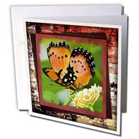 3dRose Commodore Butterfly - Greeting Cards, 6 x 6 inches, set of 12 (gc_36549_2)