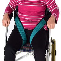 TTZ Wheelchair Seat Belt, Medical Adjustable Chair Waist Lap Straps Restraint Adjustable Length- for Elderly Patients Disabled Adjustable Length (Size : B)