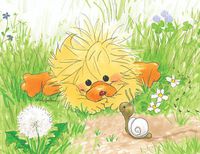 Suzy's Note Card Collection Stationery, Witzy and The Tickle Bug - 10855