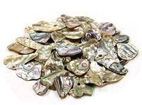Abalone Pieces - Large