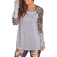 Cute Tops For Women 2019, Liraly Ladies Long Sleeve O-neck Casual Tunic Top Blouse(Gray ,US-4 /CN-S)