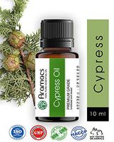 Cypress Essential Oil - Pure and Natural Therapeutic Grade 10ML