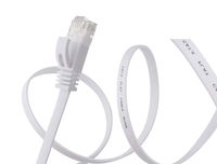 Cat 6 Ethernet Cable Internet Network Computer Patch Cord (100 ft, White)