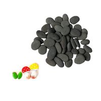Lifetop 50pcs Tiny Painting Rocks DIY Rocks for Painting Detail-Painting Rocks Smooth Surface Stones,Arts and Crafts ，0.5 to 1.0 inches ，So Small Rocks,Hand Picked for Painting Rocks ...